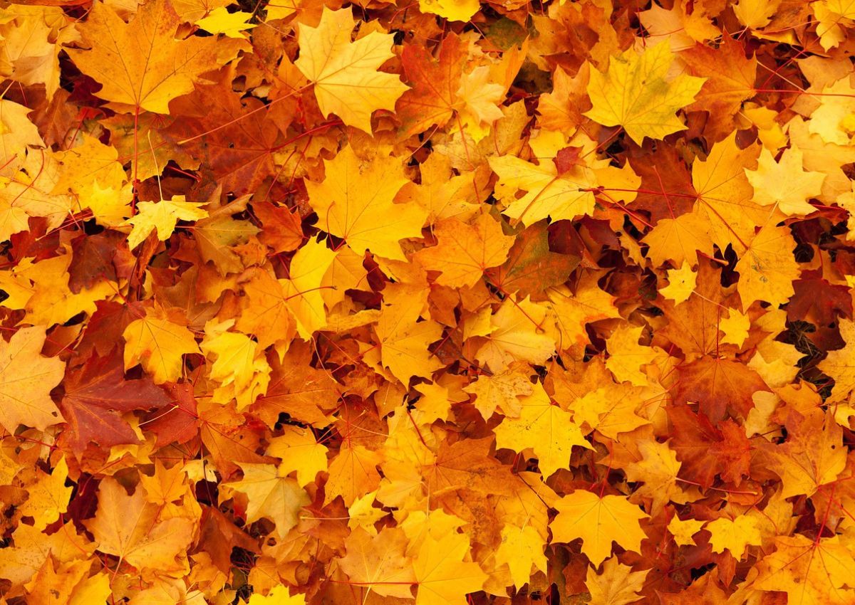 5 rutas para un otoño en Asturias