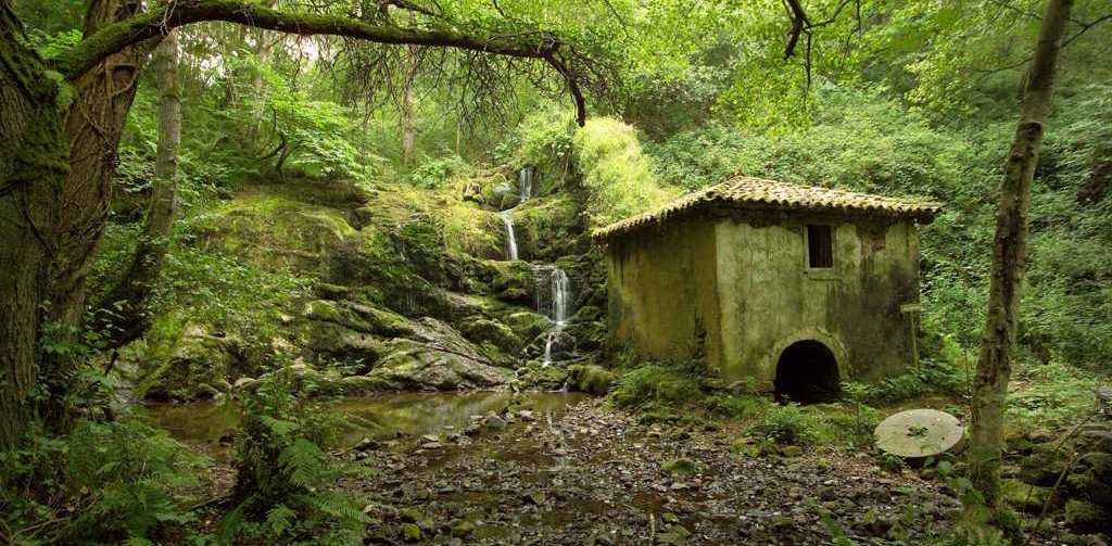 Ruta de los molinos del río profundo (Villaviciosa)