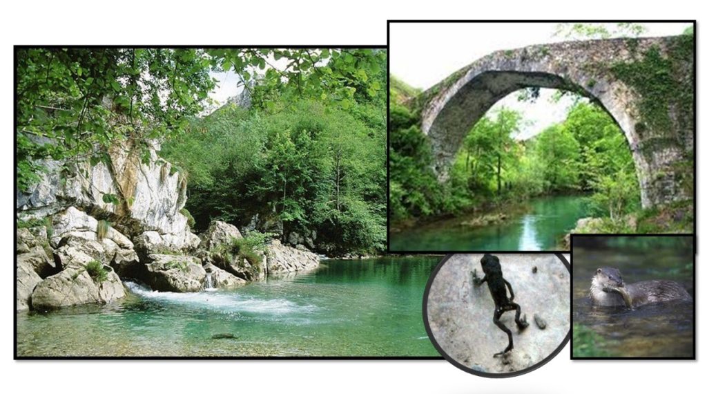 Ruta de la Olla de San Vicente