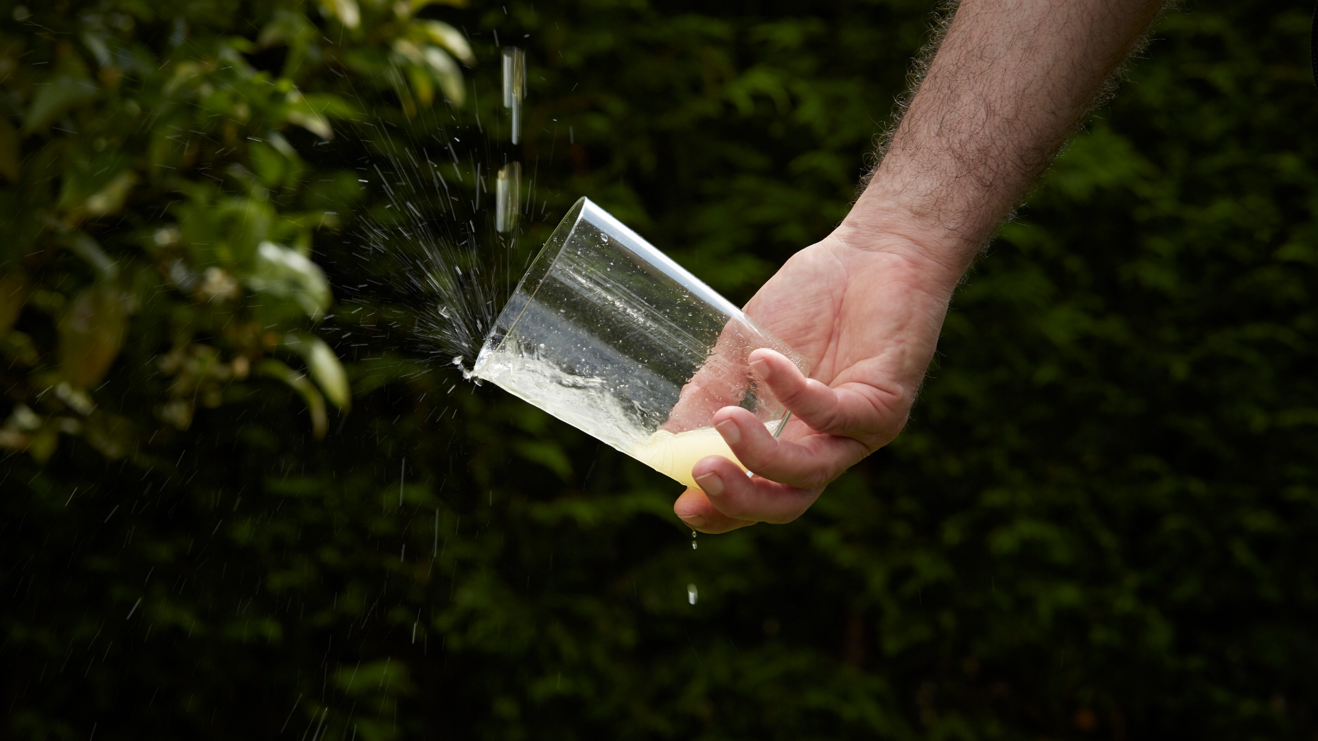 La Preba de la Sidra: una de las fiestas más auténticas de Oviedo